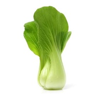 Bok Choy