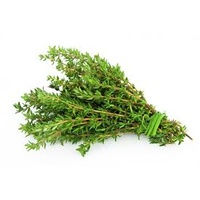 Thyme