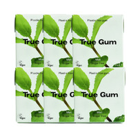 True Gum Sugar Free Mint 21g