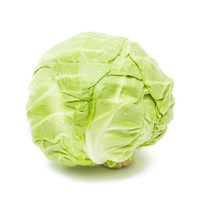 Cabbage Green Whole