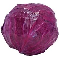 Cabbage Red Whole