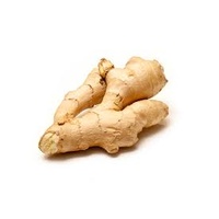 Ginger