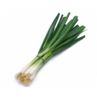 Spring Onion Bunch