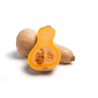 Pumpkin Butternut