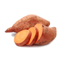 Sweet Potato