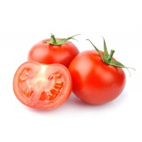 Tomato Gourmet