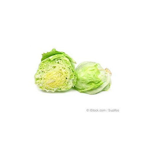 Lettuce Iceberg