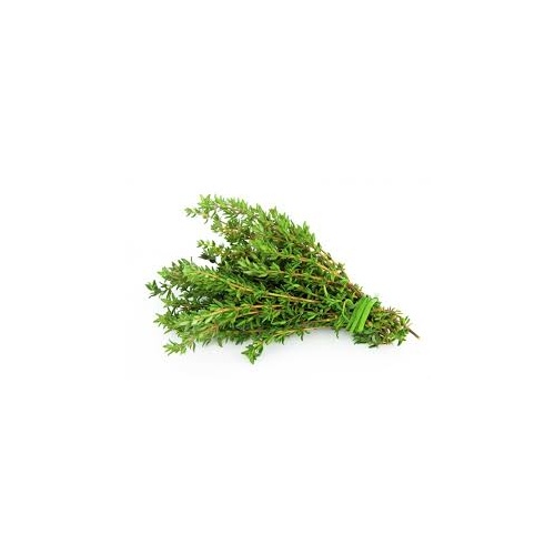 Thyme