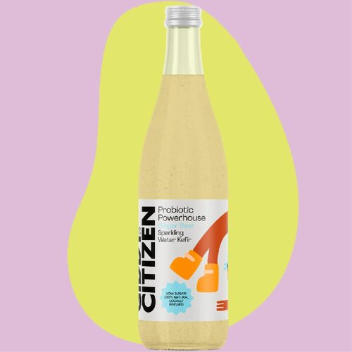 Giddy Citizen Sparkling Water Kefir Ginger Beer 330ml