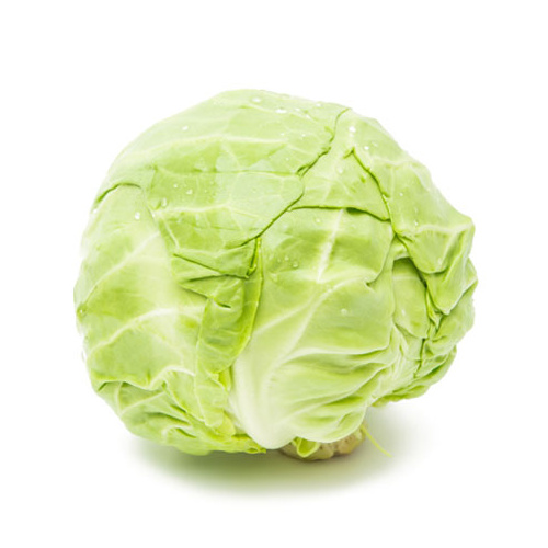 Cabbage Green Whole