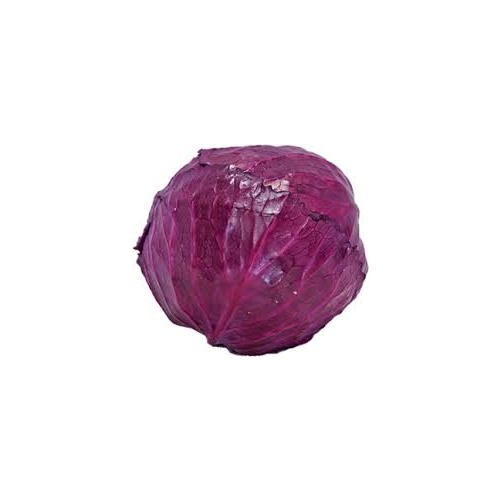 Cabbage Red Whole