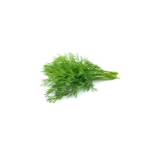 Dill