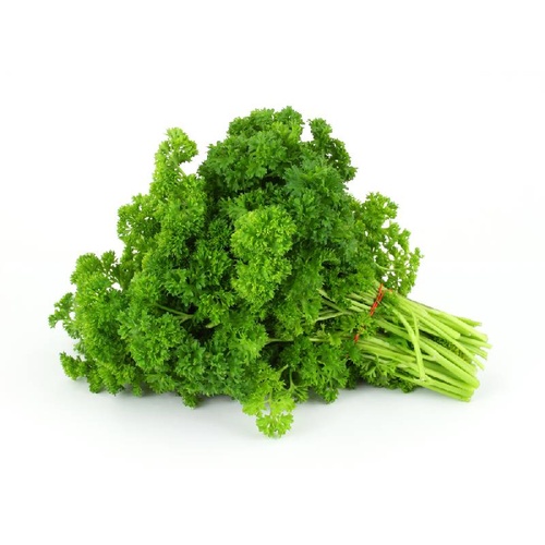 Parsley Curly