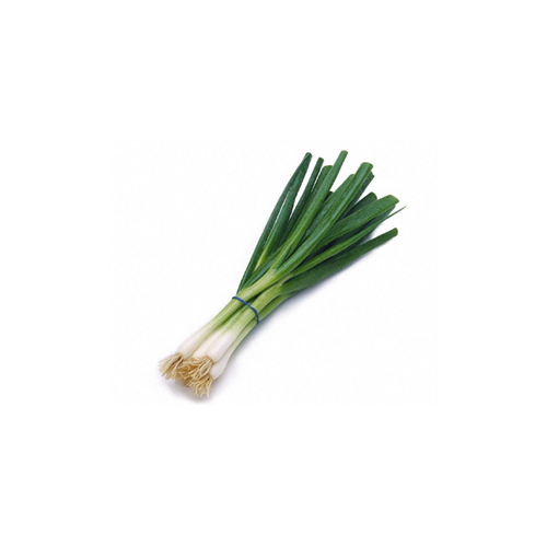 Spring Onion Bunch