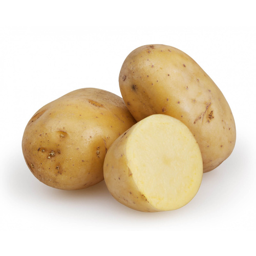 Potato