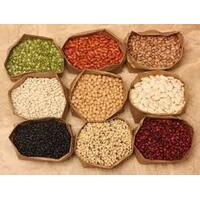 Fibre: The Unsung Hero of Gut Health